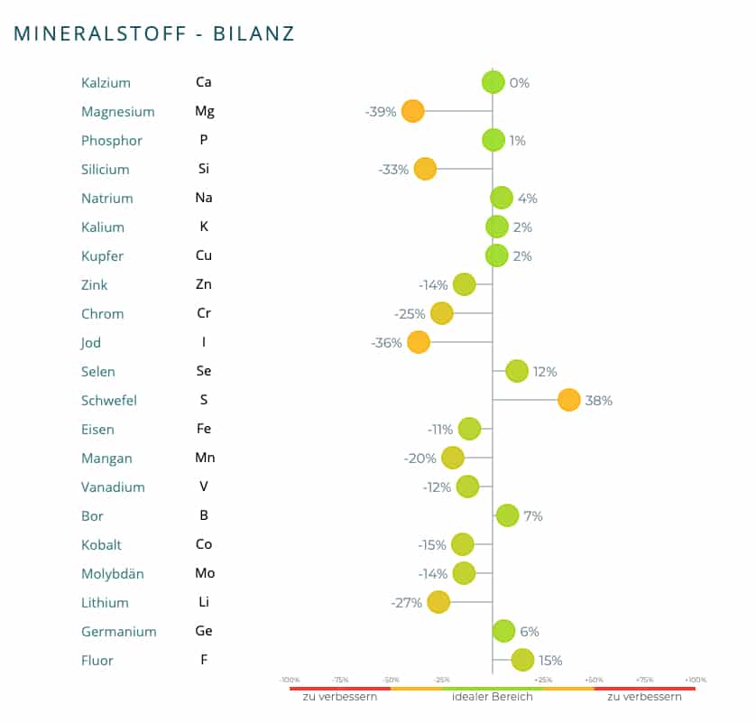 Mikronährstoffbilanz