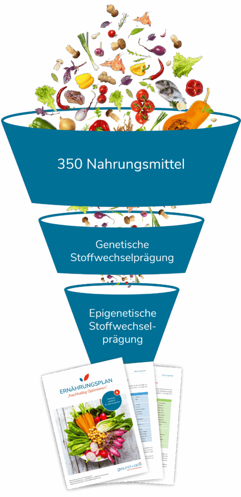 Filtersystem von gesund + aktiv Um herauszufinden, welche Nahrungsmittel optimal für den Patienten geeignet sind, bedient sich das gesund + aktiv Stoffwechselprogramm eines Filterprinzips mit drei Stufen.